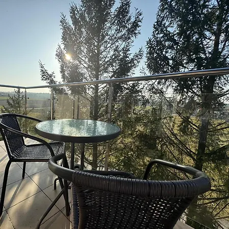 Отель Hotel Luzino 2*