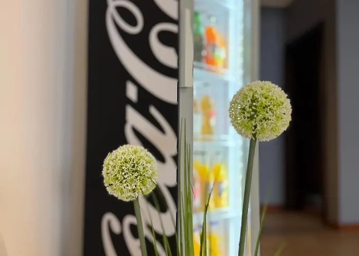 Отель Hotel Luzino 2*