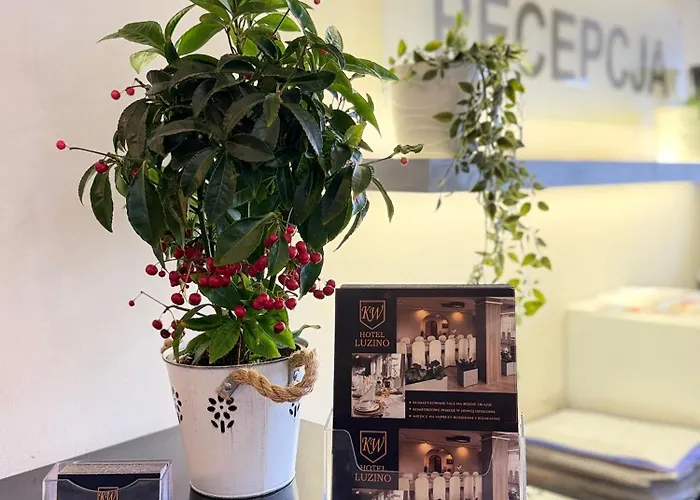 Hotel Luzino 2* Luzino